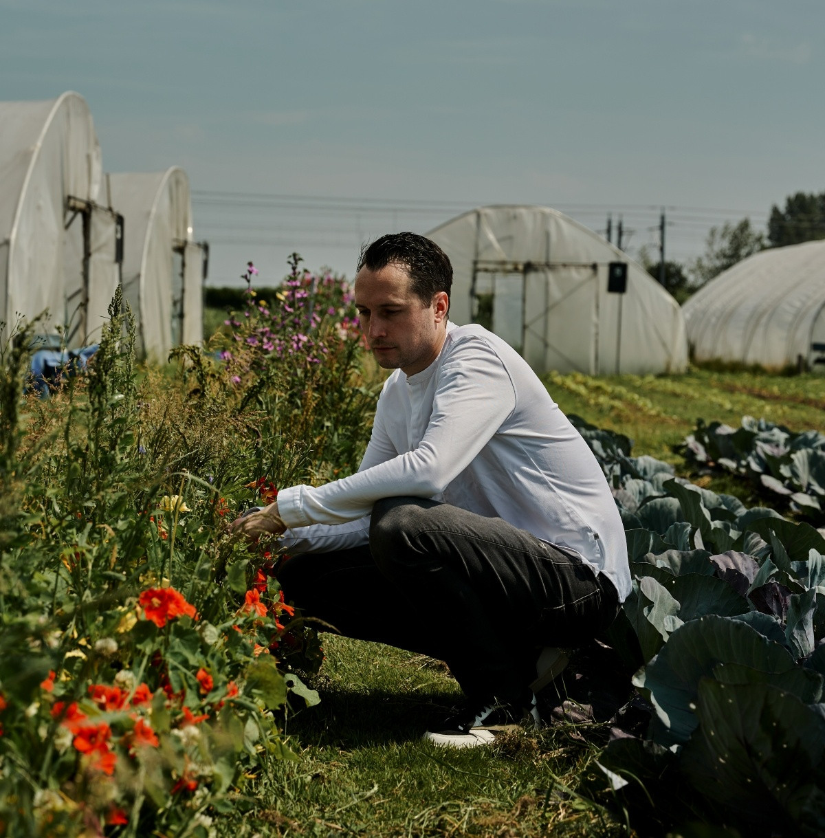 VanOost Garden: VanOost x Fitz's Bar